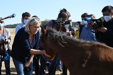 Marine Le Pen, lundi en visite dans un refuge pour chevaux récemment mutilés.