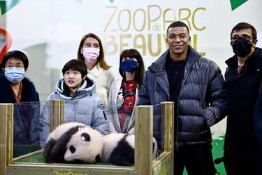 Lors de la cérémonie d'annonce des prénoms des bébés pandas, avec Kylian Mbappé, au Zoo Parc de Beauval (Loir-et-Cher), le 18 novembre 2021.