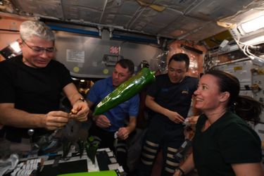 Les premiers piments qui ont poussé dans l'ISS.