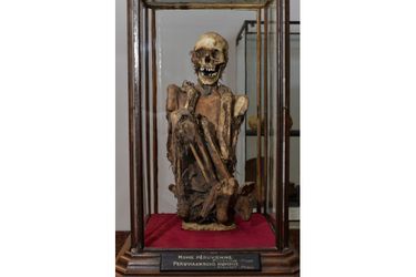 La momie qui a inspiré le personnage de Rascar Capac, au Musée Art et Histoire (MAH) de Bruxelles.