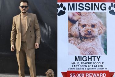Orlando Bloom à Milan en février 2020 et une affiche annonçant la disparition de son chien en juillet 2020.