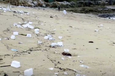Des masques chirurgicaux et boîtes en plastiques échouées sur une plage, à Sydney. 