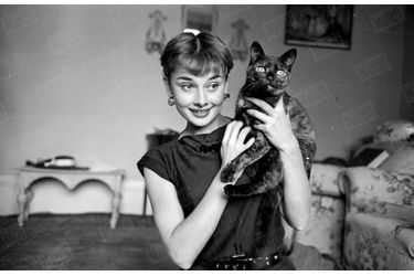 « Son meilleur ami : un chat de gouttière. » - Couverture de Paris Match n°130, 15 septembre 1951