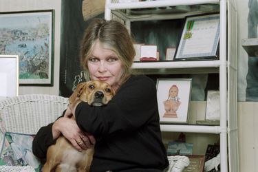 Paris, décembre 1993. rendez-vous avec Brigitte BARDOT dans les bureaux de sa Fondation. Brigitte Bardot pose avec un chien en le serrant dans ses bras.