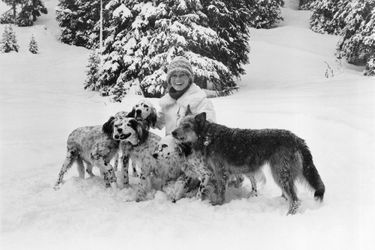 Le grand bonheur des chiens et de Brigitte BARDOT, c&#039;est la promenade du matin, deux heures dans la neige, à Méribel. Janvier 1978.