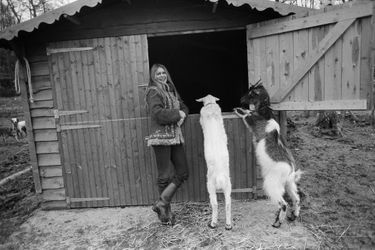 Brigitte BARDOT et ses animaux dans sa propriété de Bazoches. ici avec ses chèvres. Mars 1980.