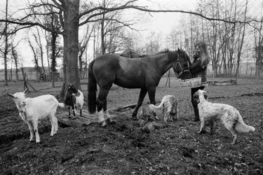 Brigitte BARDOT et ses animaux dans sa propriété de Bazoches. Recueillie par Brigitte, Duchesse, la jument, a trouvé des amis : les deux chèvres Samedi et Titi Pâquerette et deux des six setters.