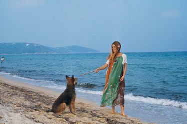 Saint-Tropez - Septembre 1974 --- Portrait de Brigitte BARDOT à l&#039;heure de son anniversaire : 40 ans. A la plage avec ses chiens.