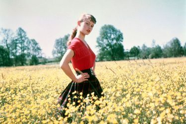 Brigitte Bardot, lors de son premier rendez-vous photos avec Match, dans les champs à Louveciennes en mai 1952.