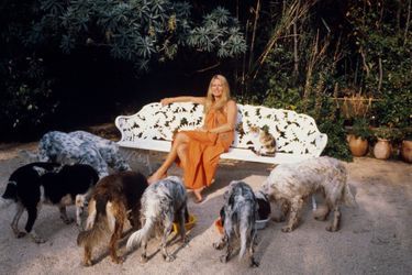  Brigitte BARDOT à Saint-Tropez entourée de ses chiens. Juillet 1980.