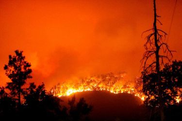 Les flammes du Windy Fire dans la forêt nationale de Sequoia.