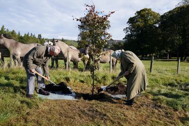 La reine Elizabeth II et le prince Charles plantent un arbre pour lancer la Queen's Green Canopy, à Balmoral le 1er octobre 2021