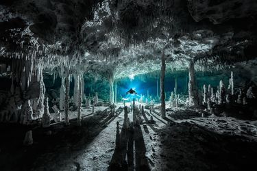 Catégorie "Exploration". 1er prix: Martin Broen, pour sa photo de plongée à Cenote dos Pisos, à Quintana Roo au Mexique.