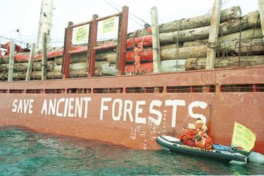 26 février 2002. Campagne de sensibilisation au large de Sète (Occitanie) pour dénoncer la destruction des forêts primaires. 