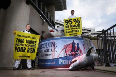 31 octobre 2014. Action contre l'entreprise Petit Navire au siège de MWBrands à Paris. Des militants de Greenpeace placent une réplique d'une boîte de thon Petit Navire avec l'inscription "Requin, raie, tortue, thon juvénile, Petit Navire, le délicieux goût de l'abattage".