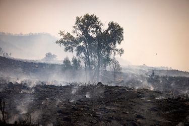 La région de Chefchaouen brûlée, au Maroc, le 16 août 2021.