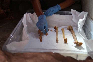 Les restes momifiés découverts dans une sépulture située au cœur de la nécropole romaine de Porta Nocera, à Pompéi.