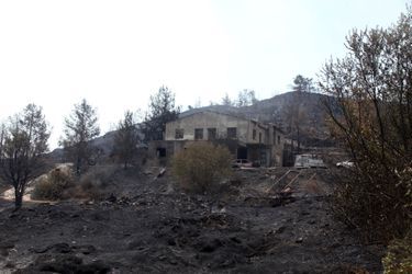 L&#039;incendie a ravagé une partie du massif forestier du Troodos, à Chypre.