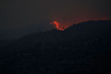 L&#039;incendie a ravagé une partie du massif forestier du Troodos, à Chypre.