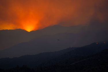 L'incendie de Chypre est "le plus vaste" enregistré sur l'île depuis 1974. Quatre personnes sont décédées dans les flammes qui ravagent le flanc sud du massif forestier du Troodos.