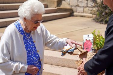 La reine Elizabeth II au château de Windsor, le 2 juin 2021
