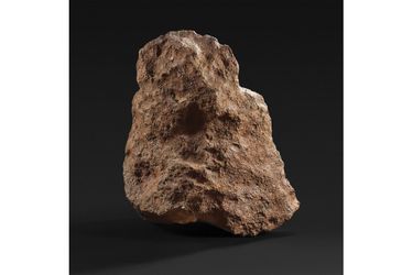 La météorite de Mont-Dieu sera exposée les 19 et 20 octobre à Drouot, avant d'être présentée aux enchères le 21 octobre à partir de 14h00.