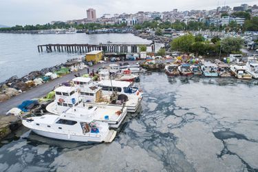 Une mousse visqueuse a envahi depuis plusieurs semaines les côtes du nord-ouest de la Turquie sous l'action combinée de la pollution et du réchauffement climatique.