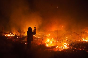 Un pompier bolivien déverse de l&#039;eau sur les flammes qui rongent la forêt amazonienne.