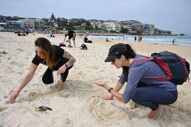 Des bénévoles nettoient la plage de Bondi, près de Sydney en Australie.