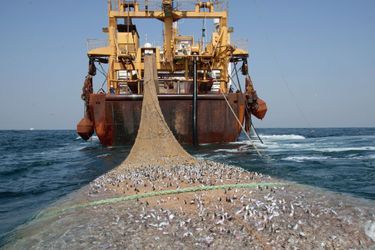 Le genre de pêche industrielle que pratique ce chalutier néerlandais à 50 kilomètres des côtes de la Mauritanie ravage l’environnement et l’économie locale. En 2012.