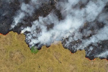 Une partie de l'Amazonie ravagée par les flammes. 