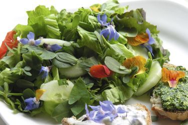 Bourrache  et capucines des prés colorent une simple salade. 