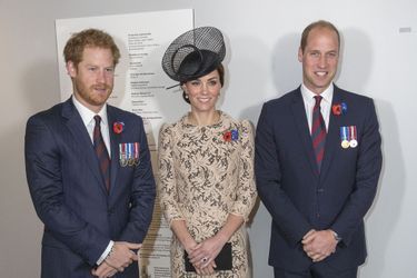 Harry, Kate et William lors des commémorations du centenaire de la Bataille de la Somme à Thiepval en juillet 2016