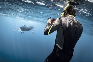 Sébastien Pontoizeau devant une baleine à bosse, dans les eaux de la Réunion.