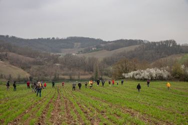 Une battue organisée par la Ferme des Etoiles et Vigie-Ciel entre Aiguillon et Nicole, dans le Lot-et-Garonne, afin de trouver la météorite. 