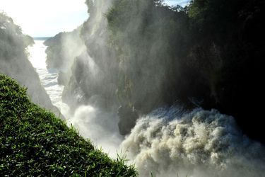 Le Nil, au Ouganda. 