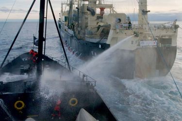 Le Steve Irwin de Sea Sheperd entre en collision avec Le Nisshin Maru pour l’empêcher de charger des baleines, dans le sanctuaire de l’Océan austral en 2009.
