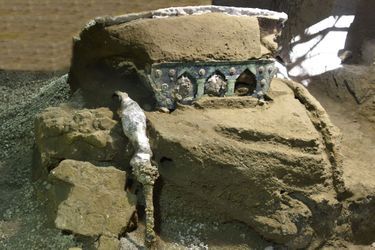 Le char a été découvert à Civita Giuliana, un quartier situé à quelques centaines de mètres au nord du parc archéologique de Pompéi.