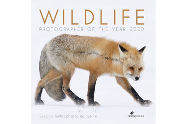 Willdlife Photographer of the Year 2020», publié aux éditions Biotope.