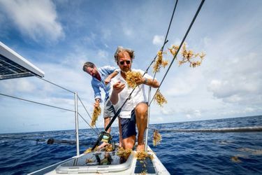 Pour Jérôme Delafosse et Victorien Erussard, capitaine d’« Energy Observer », la pêche est difficile : les algues s’enroulent autour des lignes. 