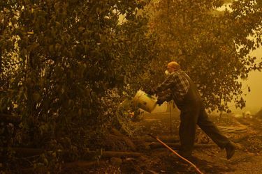 Un homme arrose un arbre toujours fumant sur sa propriété détruite par un incendie de forêt samedi 12 septembre 2020 à Mill City, Oregon.