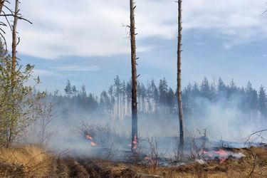 Près de 150 incendies se sont déclarés mercredi dans la région de Lougansk, en Ukraine, ravageant au total plus de 11.000 hectares et faisant neuf morts.