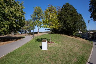 L&#039;arbre et la plaque en l&#039;honneur du prince Charles de Luxembourg au parc Fondation Pescatore à Luxembourg, le 21 septembre 2020