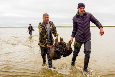 Le squelette de mammouth découvert dans le lac Pechevalavato, en Sibérie
