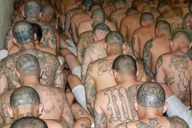 Image prise dans la prison de Zacatecoluca et partagée par le président salvadorien Nayib Bukele.