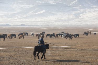 Eleveur de chevaux dans la steppe mongole.