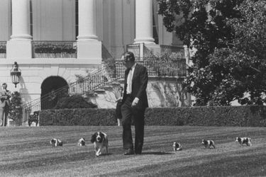George H.W. Bush avec Millie et ses chiots, en avril 1989.