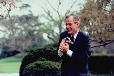 George H.W. Bush et un des chiots de Millie, en mars 1989.