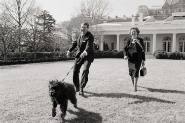 Ronald Reagan promenant son chien Lucky avec Margaret Thatcher, en février 1985.