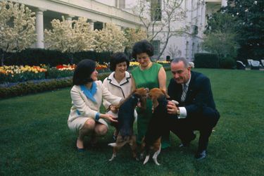 La famille Johnson et leurs chiens Him et Her, en avril 1964.